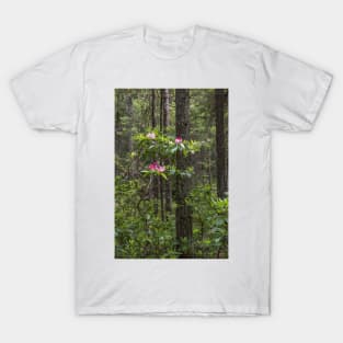 Rhododendron Blooming in Forest - Manning Park T-Shirt